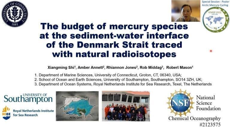 The Budgets of Mercury Species at the Sediment-Water Interface at the Denmark Strait and the Influence on Mercury Transport